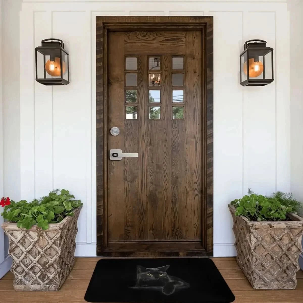 Cat Bedroom Mat Black Doormat Kitchen Carpet Balcony Rug Home Decor