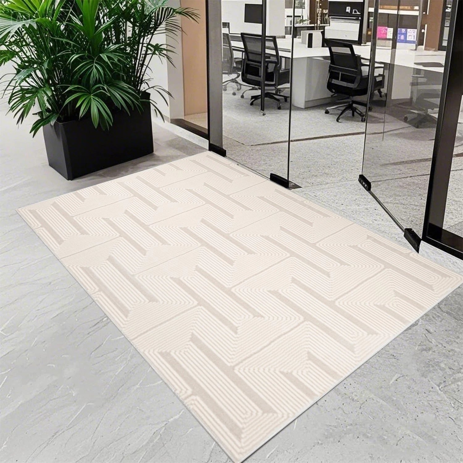 Door Mat Indoor Large Area Rugs Living Room Rug Hall Runner Kitchen Mat Non Slip