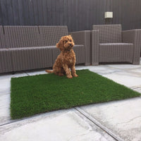 Luxury Artificial Grass Dog Mats 100cm x 100cm £19.99