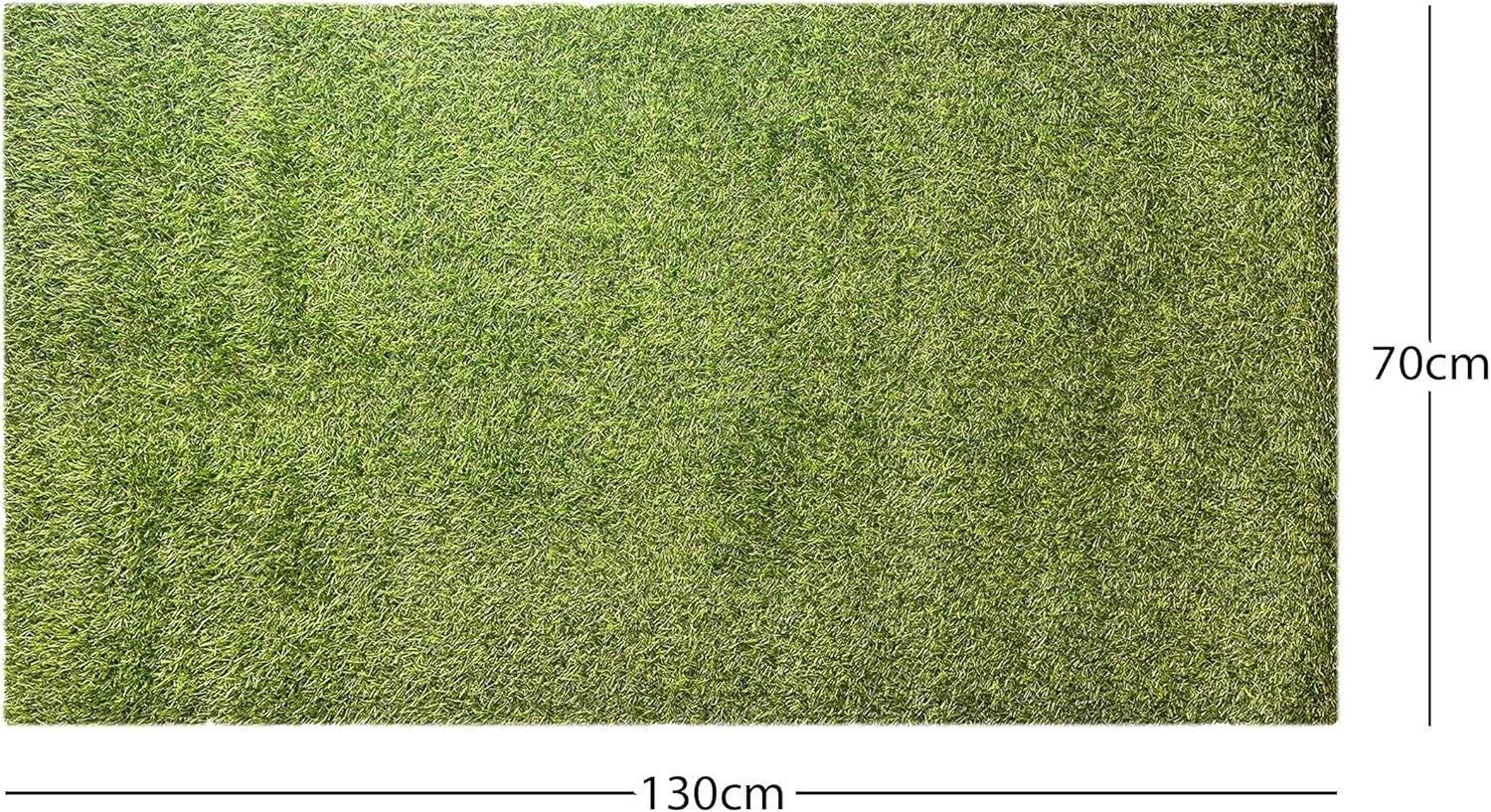Artificial Grass Door Mat 70cm x 130cm - Elegant Indoor/Outdoor Use