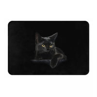 Cat Bedroom Mat Black Doormat Kitchen Carpet Balcony Rug Home Decor