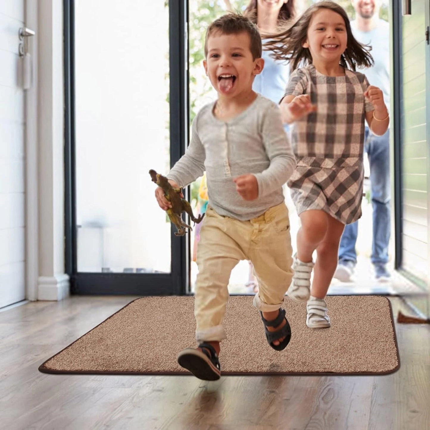 Walensee Indoor Doormat, Front Door Mat for Entrance Machine Washable Entryway