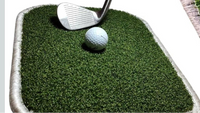 GGINNOVATIONS Golf Practice Mat 40x30cm Indoor Outdoor Real Turf Training Aid