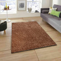 Shaggy Rugs Large Area Rug Living Room Bedroom Hall Runner Soft Carpet Door Mat