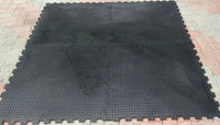Interlocking Rubber Gym mat 1mx1mx20mm solid rubber coin top design both side