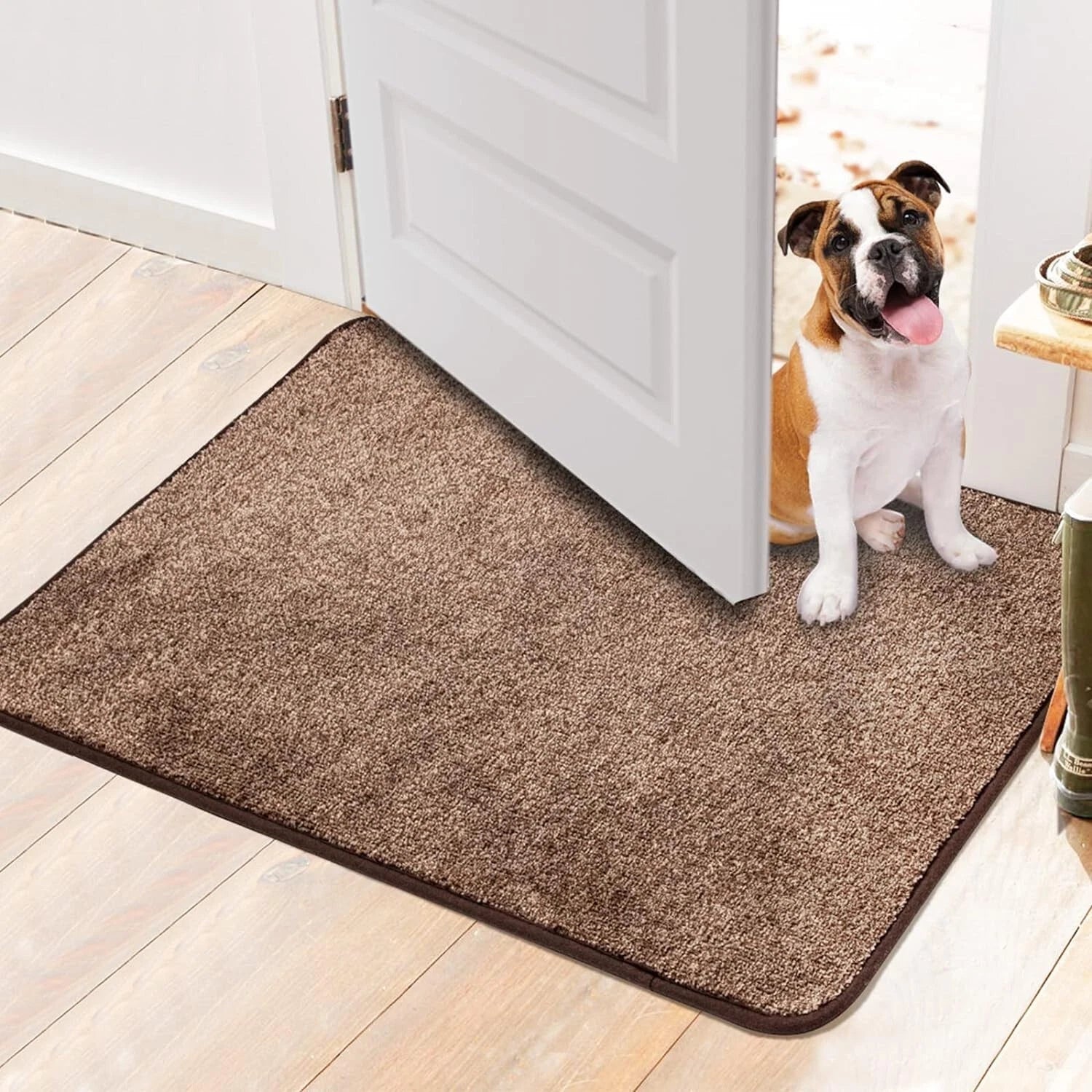 Walensee Indoor Doormat, Front Door Mat for Entrance Machine Washable Entryway