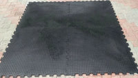 Rubber gym mat 1mx1mx20mm solid rubber interlocking coin top design