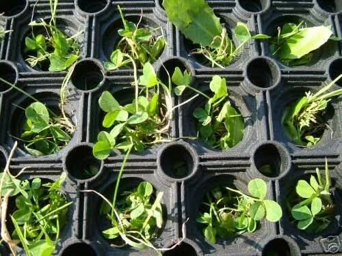 Gateway Grass Mats 1mx1.5m Safety Rubber Matting Playground Golf Garden mat GSNF